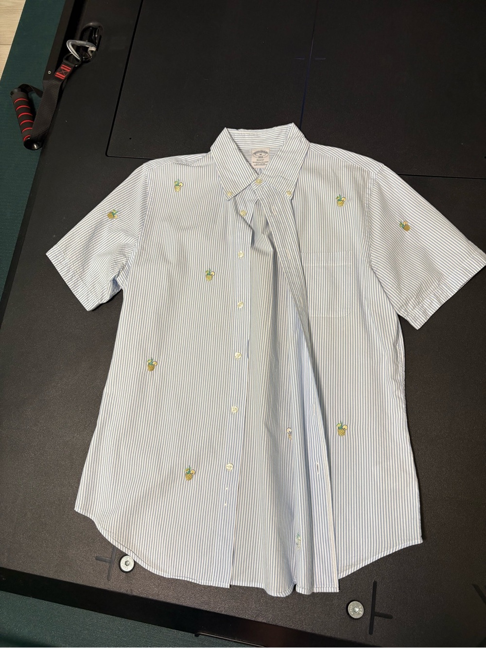 Embroidered Pineapple Stripe Short-Sleeve Shirt - Light Blue